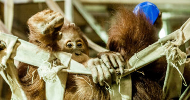 Foto: Daniel W. Bittner - bittner.photography